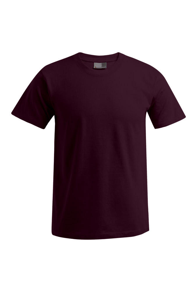 Men's Premium T-Shirt #3099 10