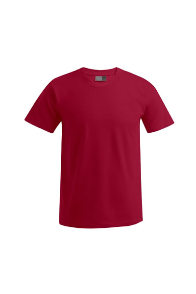 Men's Premium T-Shirt #3099 12