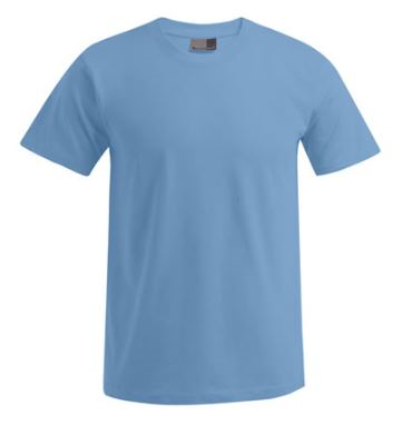 Men's Premium T-Shirt #3099